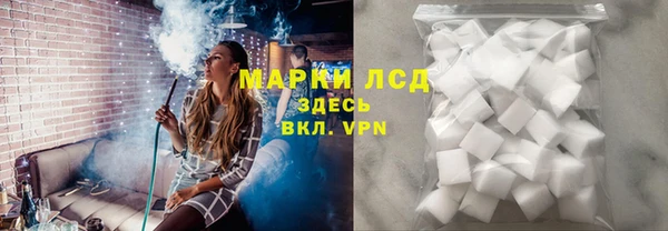 стаф Белокуриха