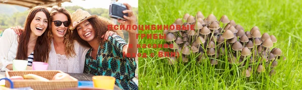 стаф Белокуриха