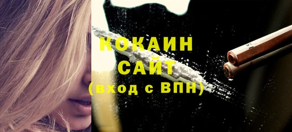 стаф Белокуриха
