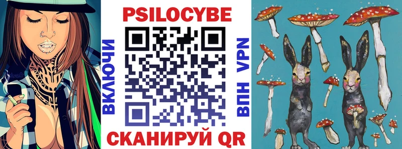 Псилоцибиновые грибы Psilocybe  Кунгур 