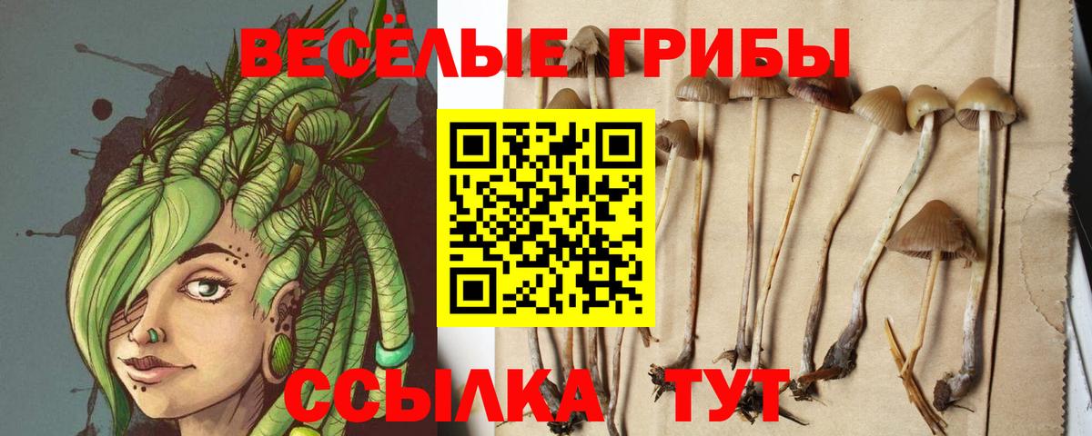 Псилоцибиновые грибы ЛСД Кунгур